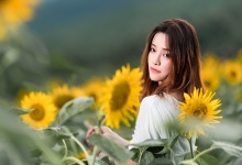 茶艺养生：茶道文化中的健康智慧